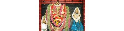 மேல் படப்பை